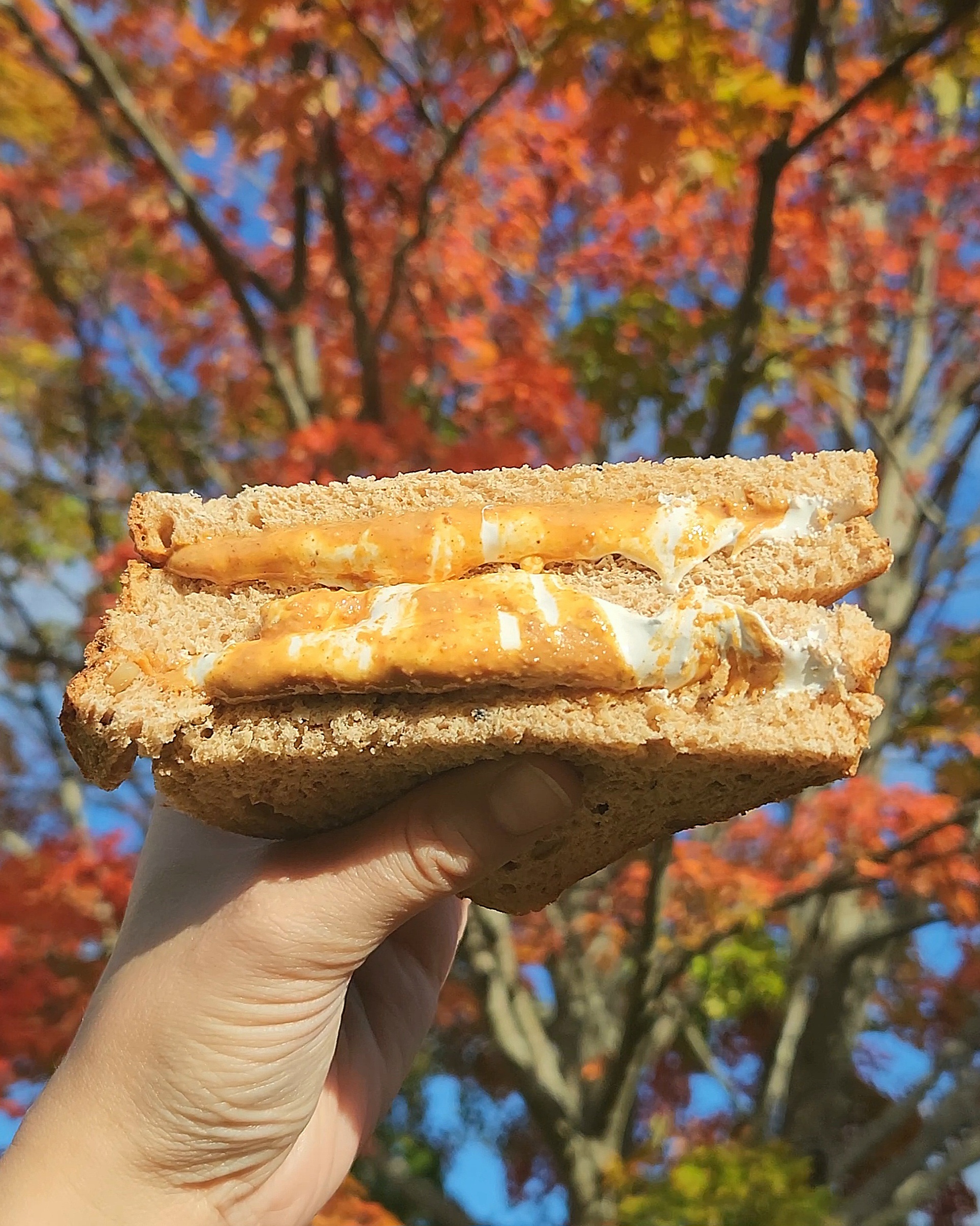 Teddie Peanut Butter and Fluff sandwich